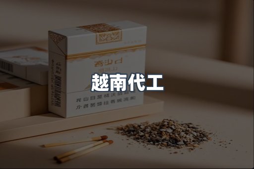 越南代工